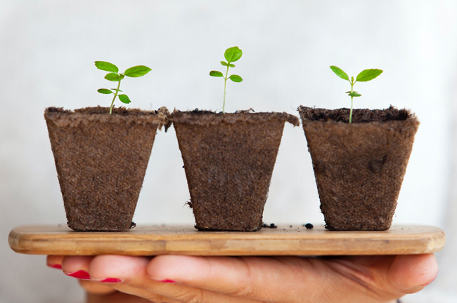 Standard Post with Image